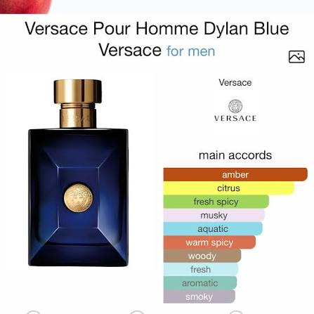Versace Dylan Blue